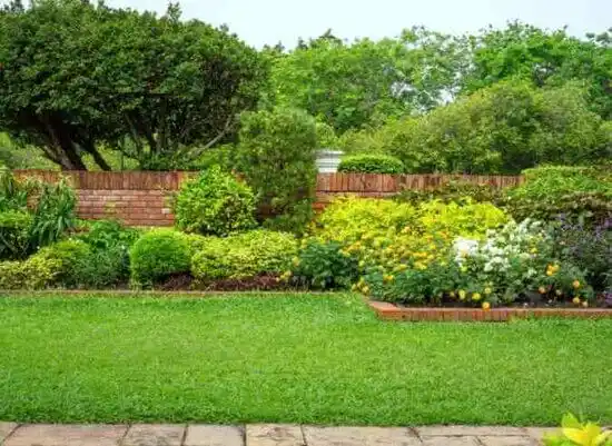 landscaping services Knightdale